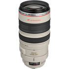 Zoom Telephoto EF 100-400mm f/4.5-5.6L IS  