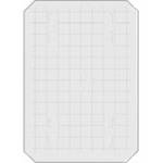 Beattie 86220 Intenscreen for Zone VI  5x7 Camera  with 1cm Grid 