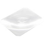 Arca-Swiss 5X7 Fresnel Lens