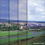 LEE Filters 4x6" Combination Graduated 81EF w/ ND 0.9 Resin Filter - Soft Edge