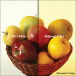 LEE Filters 4x4" 80A Color Conversion Polyester Filter