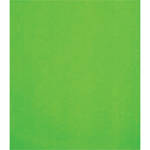 Studio Dynamics 8x10' Canvas Background LSM - Chroma Key Green