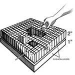 Delta 1 Replacement Die Cut Polyfoam