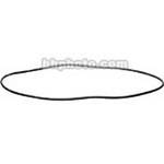 Ikelite O-Ring (Replacement)
