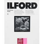 Ilford Multigrade IV RC Portfolio  Black & White Paper (11 x 14", Glossy, 50 Sheets)