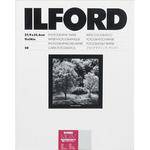 Ilford Multigrade IV RC Portfolio  Black & White Paper (11 x 14", Pearl, 50 Sheets)