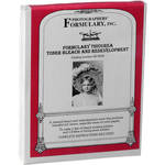 Photographers' Formulary Toner for Black & White Prints - Thiourea