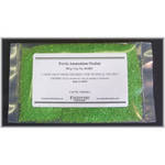 Photographers' Formulary Ferric Ammonium Oxalate - 100g