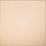 Cokin P695 Champagne Resin Filter