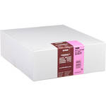 Ilford Multigrade FB Warmtone Fiber Base Paper (8 x 10', 250 Sheets, Glossy)