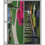 Vue-All Photo Saver Archival Storage Page, 4x11.5" APS, Holds 4 Prints - 25 Pack
