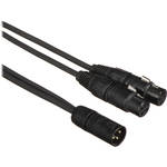 Pro Co Sound XLR Male to 2 XLR Female Y-Cable - 1'
