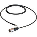 Pro Co Sound ShowSavers Tiny Tip Male to XLR Male Cable -  3'