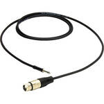 Pro Co Sound ShowSavers Tiny Tip Male to XLR Female Cable -  3'