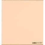 Cokin A031 85C Color Conversion Resin Filter