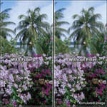 Cokin A112 Split Field +2 Filter
