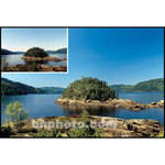 Cokin A160 Top/Linear Polarizer Glass Filter