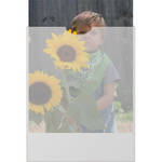 Duracraft Glassine Envelope with Open End for 8 x 12 or 8-1/2 x 11", Holds One Sheet (500)