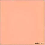 Cokin P029 85A Color Conversion Resin Filter