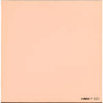 Cokin P031 85C Color Conversion Filter