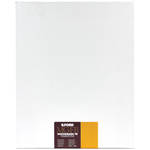 Ilford Multigrade FB Warmtone Fiber Base Paper (8 x 10', 250 Sheets, Semi-Matte)