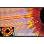 Cokin P209 Multi Parallel Resin Filter