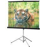Draper 216006 Consul Portable Tripod Screen  (50 x 50")