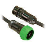 DeSisti Head to Ballast Cable for Rembrandt - 50'