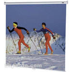 Da-Lite Class Rite Screen - 50 x 50" - Matte White