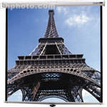 Da-Lite 40223 Deluxe Model B Front Projection Screen (60x60")