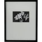 Nielsen & Bainbridge Gallery Frame (11x14" Matte with 4x6" Opening)