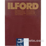 Ilford Multigrade Warmtone Resin Coated Paper (16 x 20", Pearl, 10 Sheets)