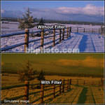 LEE Filters 4x4" Tobacco 3 Special Color Effect Resin Filter