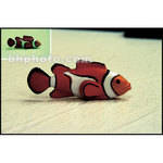 Cokin P036 FL-W Fluorescent Resin Filter for Daylight Film