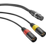 Neumann AC-20 5-Pin XLR Female to 2 3-Pin XLR Male Adapter Y-Cable