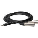 Hosa Technology Stereo Mini-Phone Male to 2 XLR Male Y-Cable -9.9'