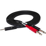 Hosa Technology Stereo Mini Male to 2 Mono 1/4" Male Y-Cable - 10'