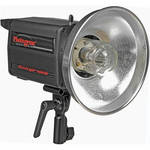 Photogenic Powerlight 1250DR 500 Watt/Second Monolight (120VAC)