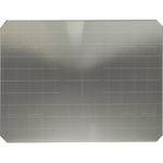 Beattie 85901S Intenscreen for Speed Graphic 4x5 Camera  with 1cm Grid 