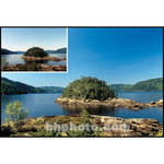 Cokin X-Pro 160 Top/Linear Polarizer Glass Filter