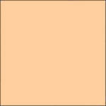 Gam GC435  GamColor ##435 Ivory  (20 x 24" Sheet)