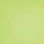 Cokin A006 Yellow Green Resin Filter for Black & White Film