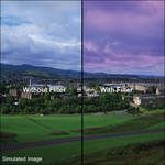 LEE Filters 4x6" Graduated Twilight Resin Filter - Hard Edge