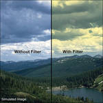 LEE Filters 4x6" Graduated Yellow Resin Filter - Soft Edge