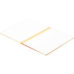 LEE Filters 4x6" Pale Coral Stripe Resin Filter