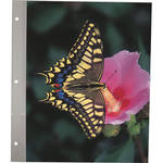 Pioneer Photo Albums Refill Pages for #FTM15 - White Inserts