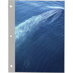 Pioneer Photo Albums 4-Page Refill for the 100 Page Magnetic Three-Ring Album #TR-100 (9 x 10.9")
