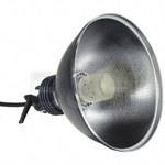 Profoto Acute 2 Twin Bi-Tube Lamphead