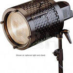 Bowens Fresnel 200 Spot Attachment
