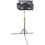 Lowel Caselite 2 Fluorescent One Light Kit (120VAC)